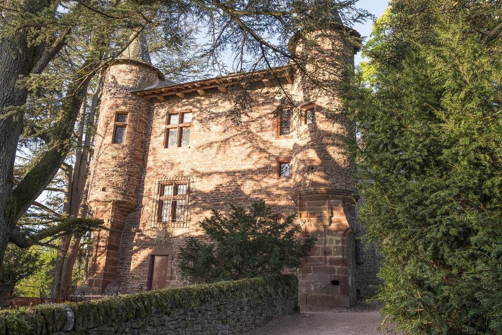 Chateau De Canac Rodez Zewnętrze zdjęcie